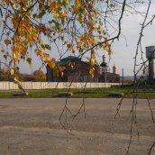 Прекрасная пора