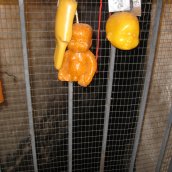 Монастырь равноап. Феклы 