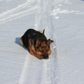 Зимние зарисовки