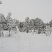 Зимние зарисовки