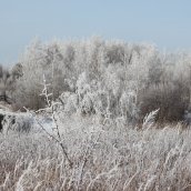 Зимние зарисовки