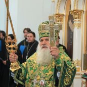 Торжества на малой родине прп. Силуана Афонского