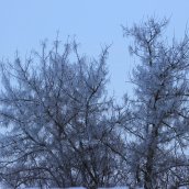 Зимние зарисовки