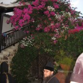 Монастырь равноап. Феклы 