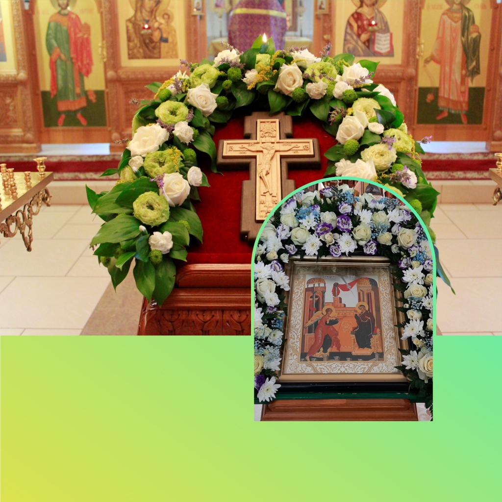 Blank Social Media Background Collage.jpg