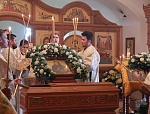 АНОНС