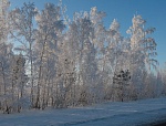 Зимнее убранство природы 