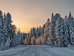 28 ноября начало Рождественского (Филиппова) поста