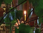 О Троицкой родительской субботе.