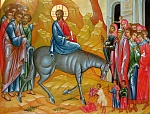 21 апреля. Вход Господень во Иерусалим.