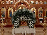 "Христос родился, Бог воплотился" 