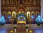 Светлый праздник Рождества Христова