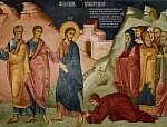 17 ноября. Неделя 22-я по Пятидесятнице.